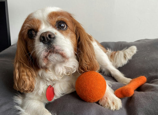 100% NZ Wool Dog Toys - Furballs and Furbones