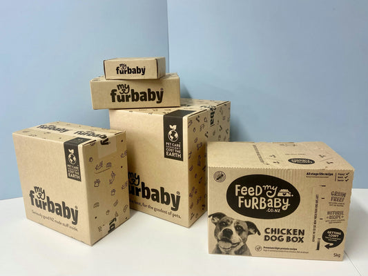 We’re Moving To Refillable Packaging - Pet Care Shouldn’t Cost The Earth