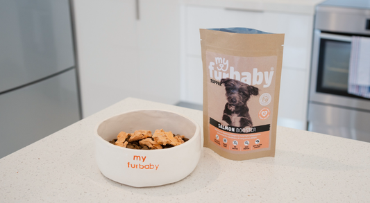 Supercharge Your Furbabies Meal with Kibble PLUS