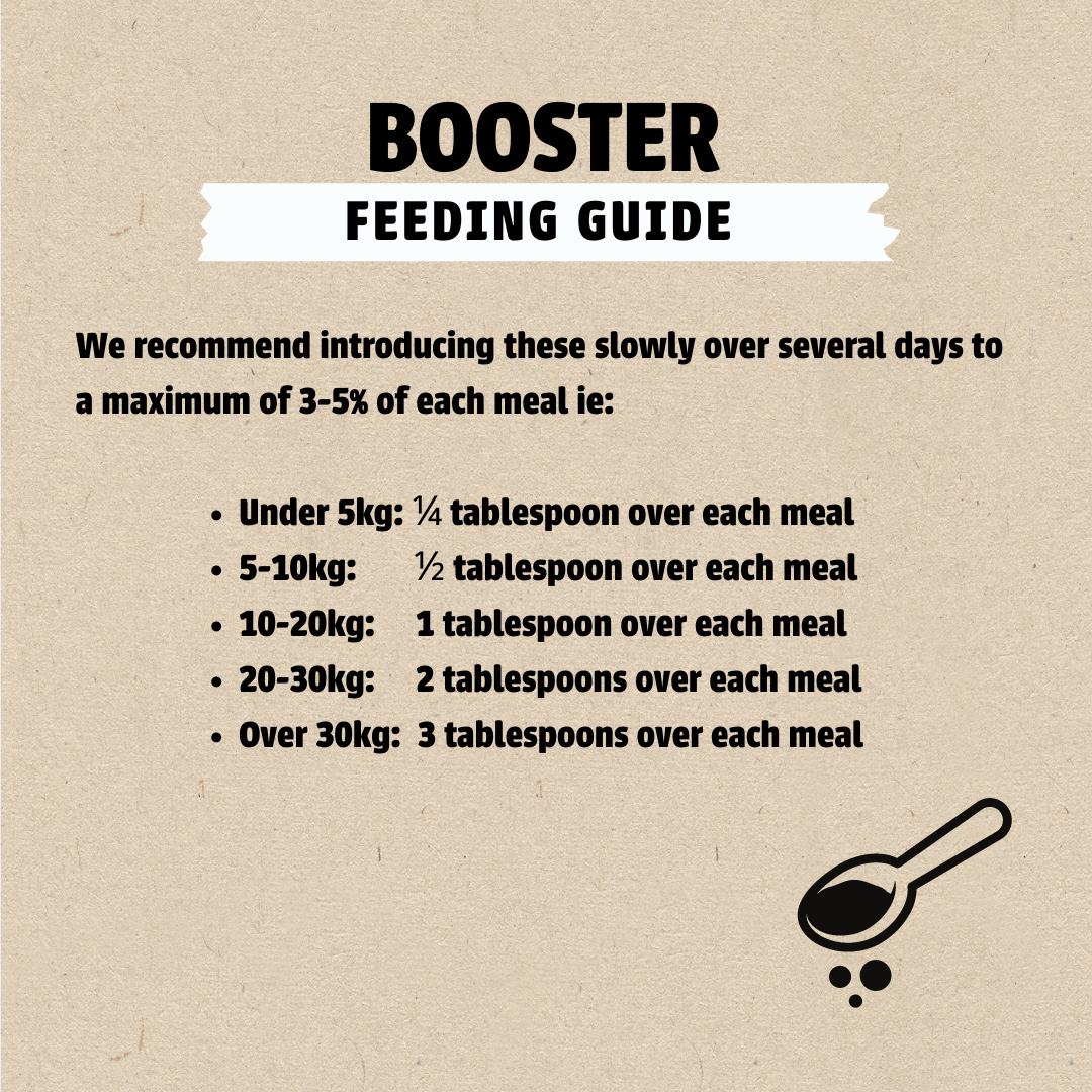 Dog Food Super Salmon Bundle 5kg