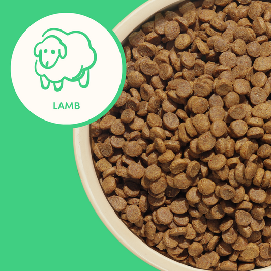 Luxe Lamb Dog Food