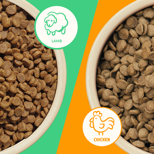 Chicken & Lamb Dog Food Mix Box