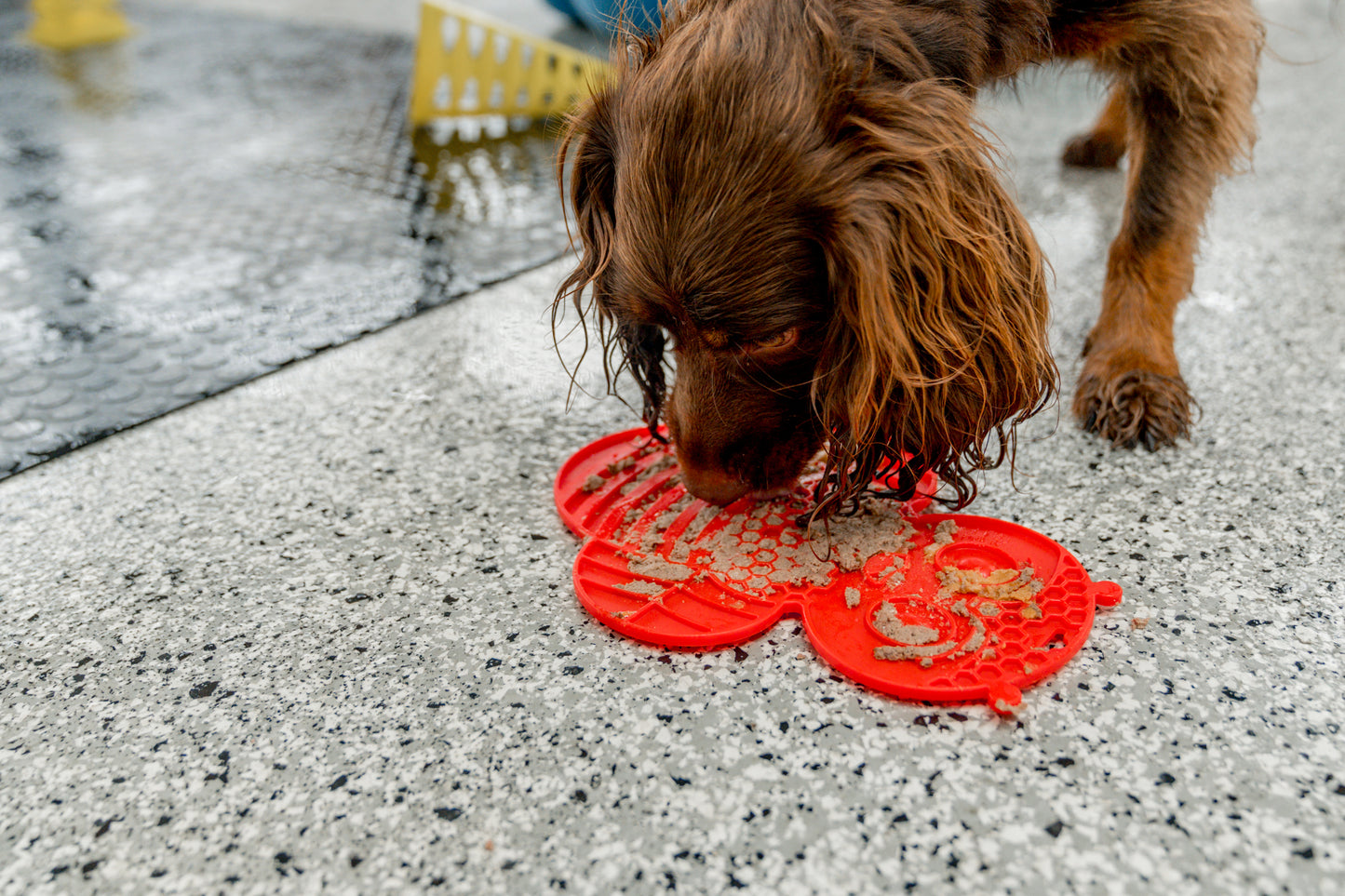 Buzzy Bee Cat/Dog Lick Mat