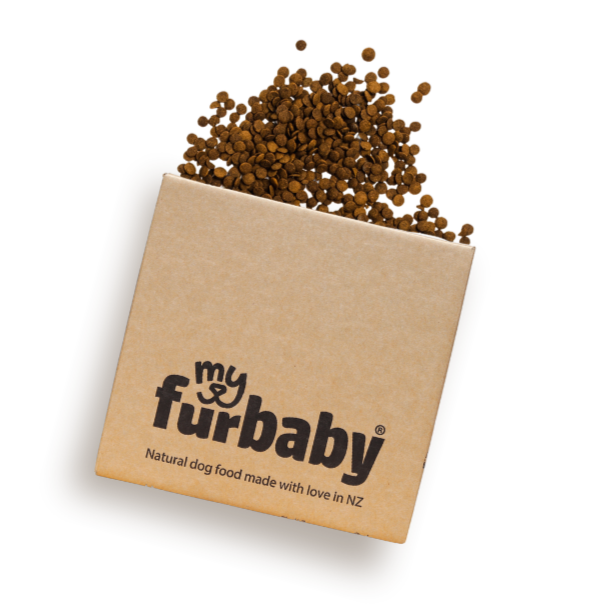 Luxe Lamb Dog Food