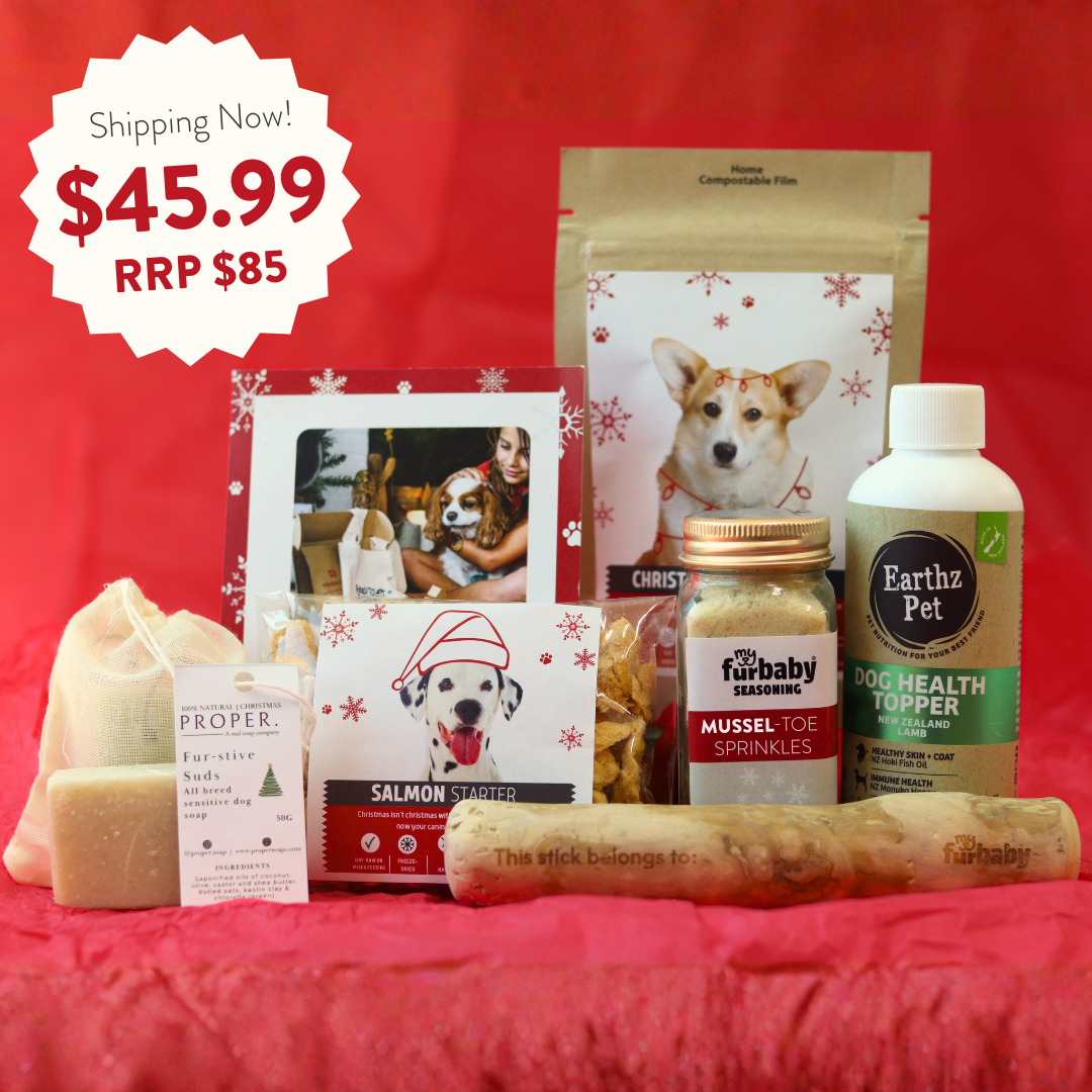 Xmas Kindness Bundle: Xmas Box + Pet Refuge Safe Night