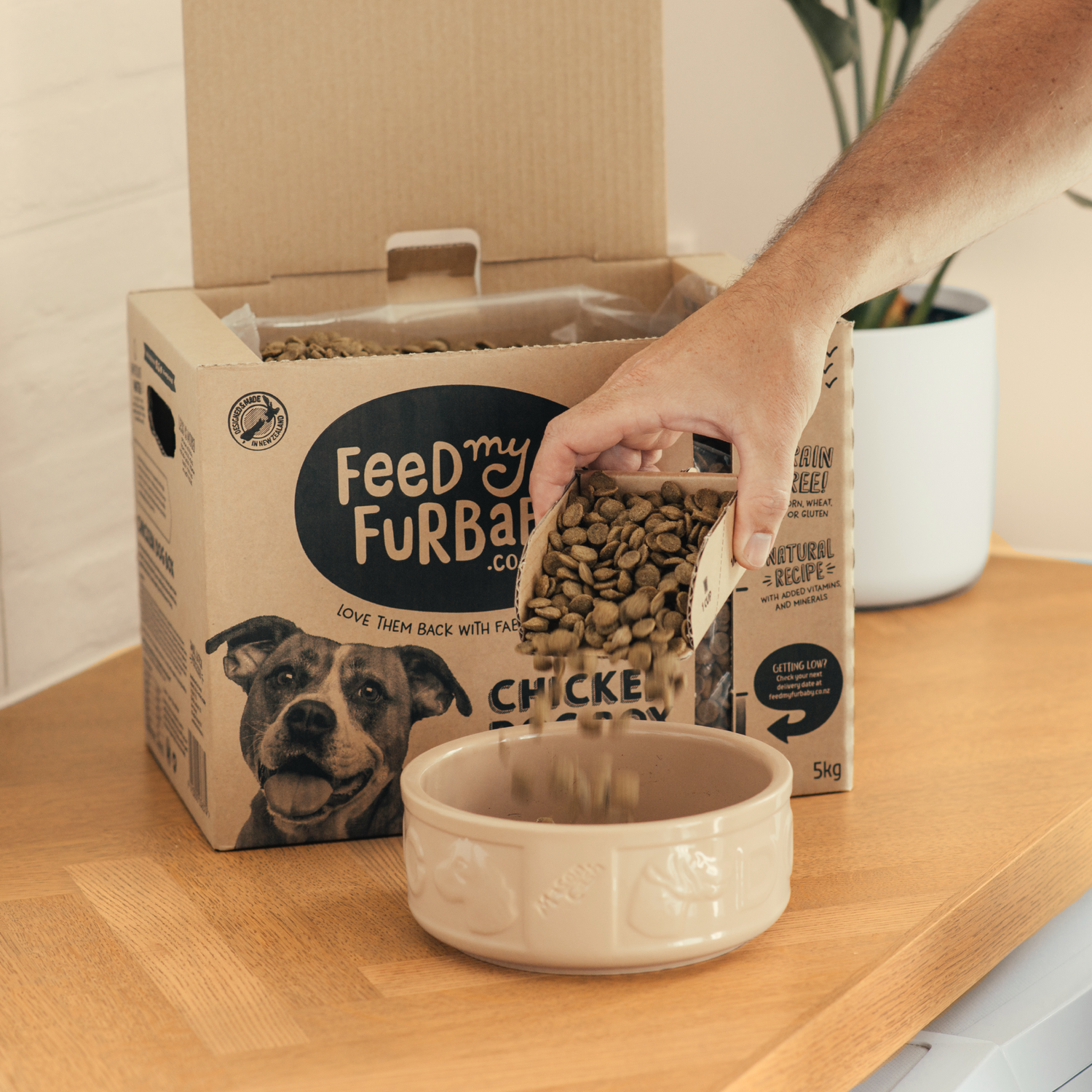 Dog Dry Food
