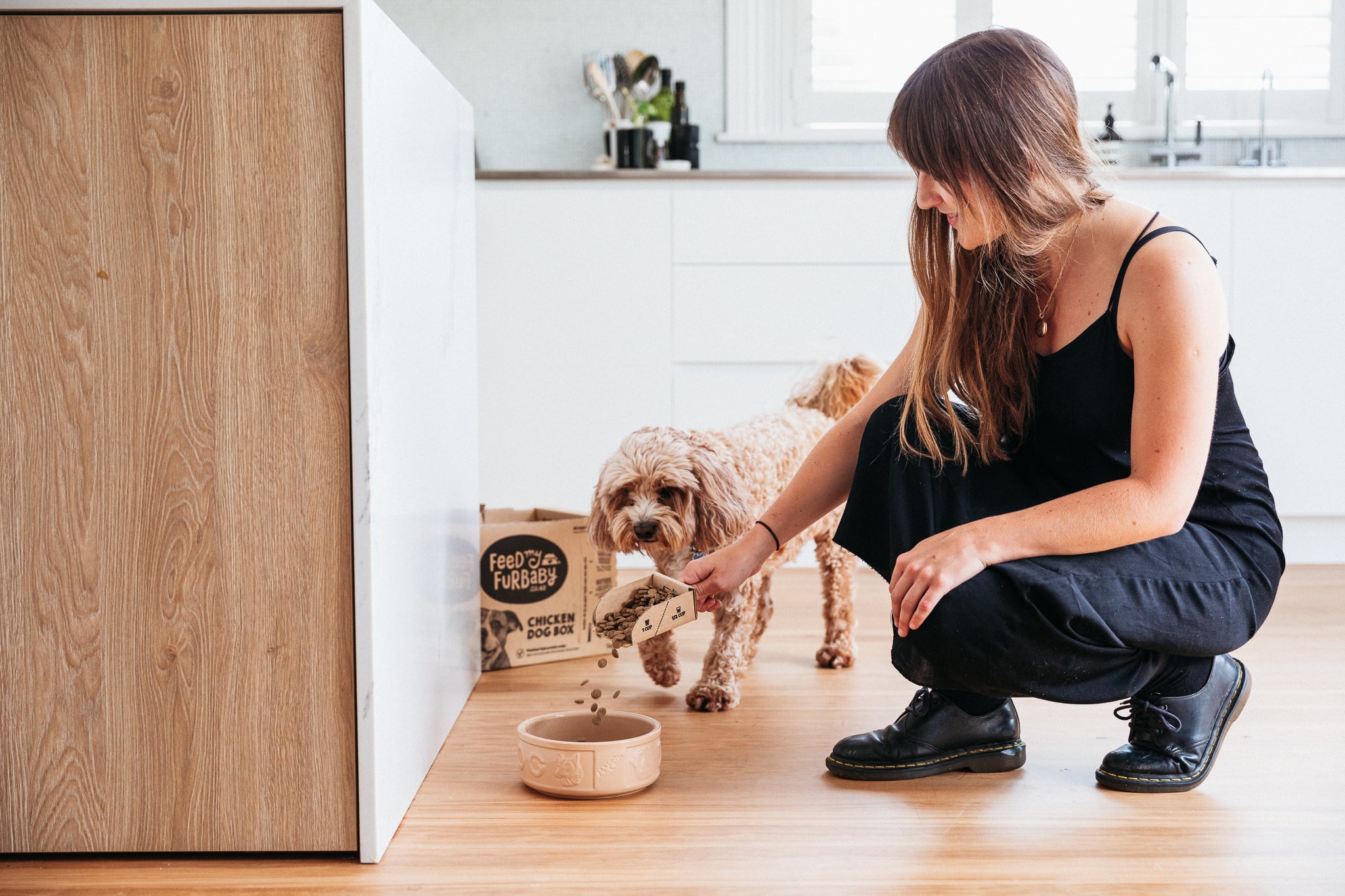 Dog Bundle Boxes – myFurbaby NZ