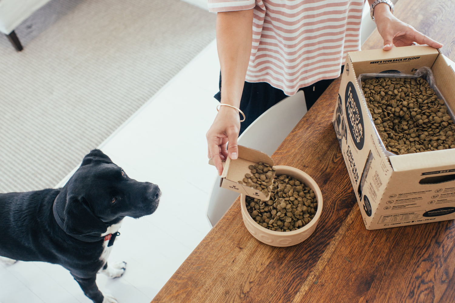 Main Kibble Products