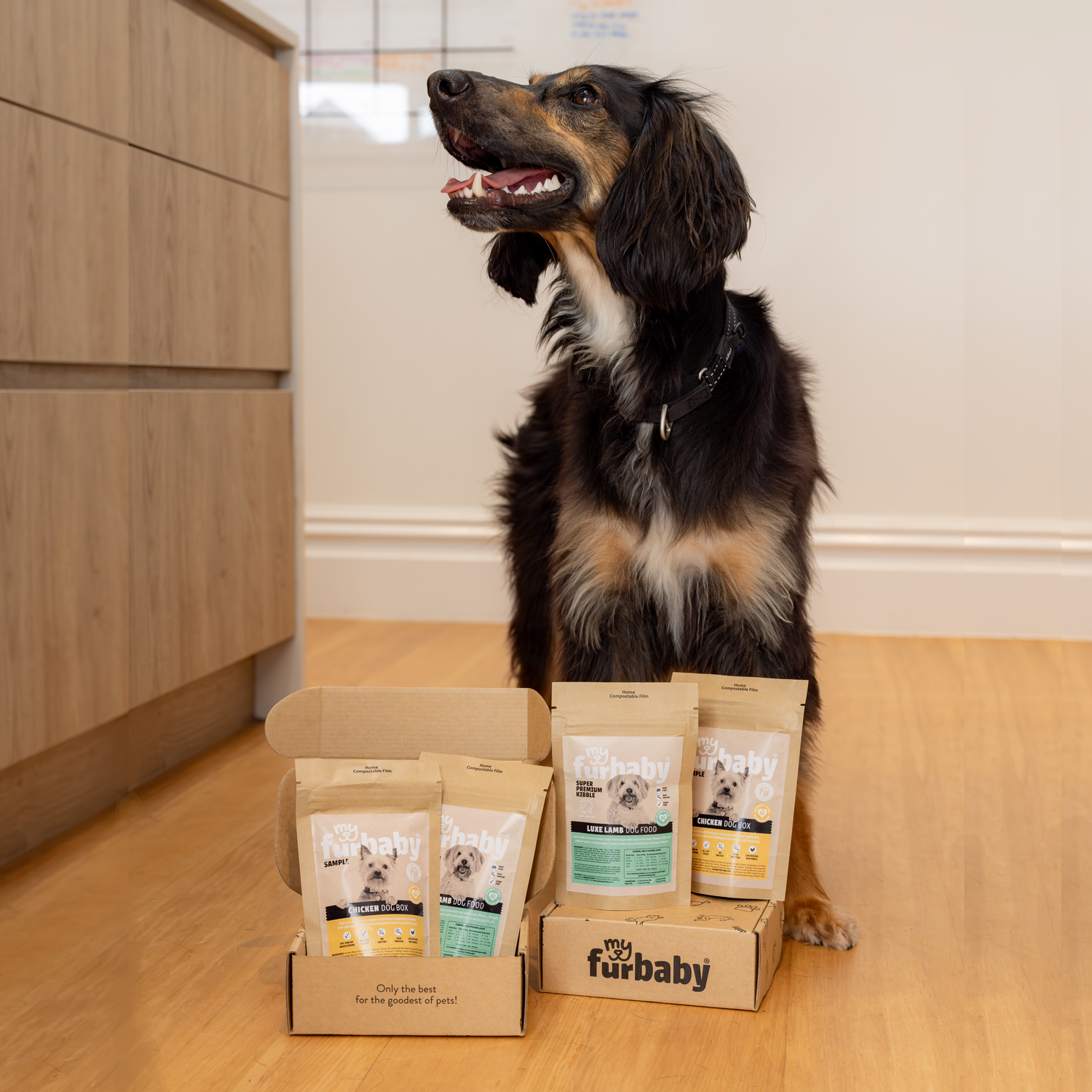 Dog Food Samples