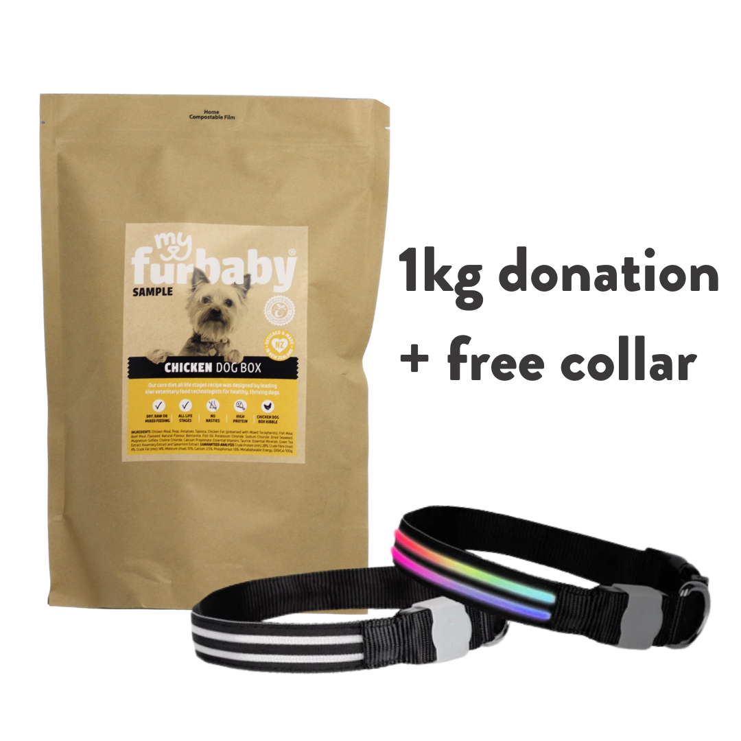 1kg Food Donation + Free LED Collar