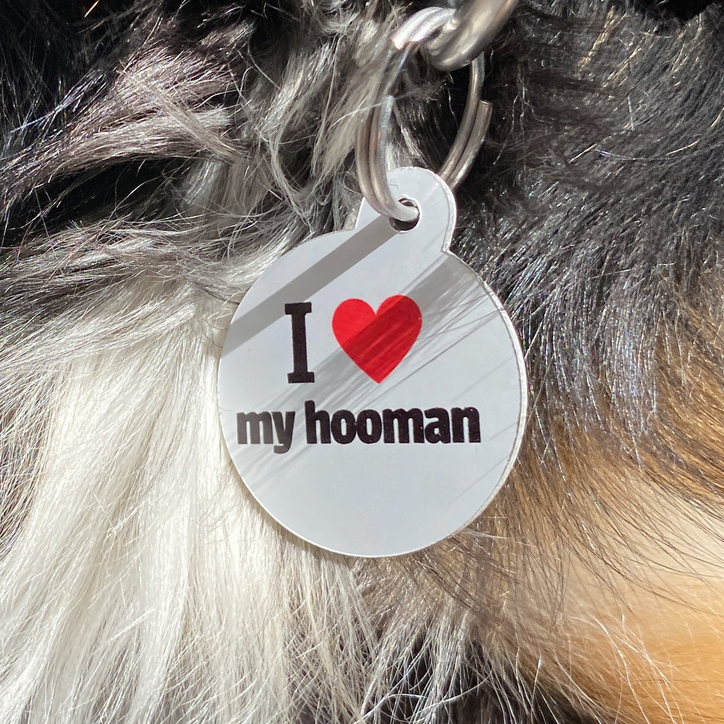I Love My Hooman Dog Tag