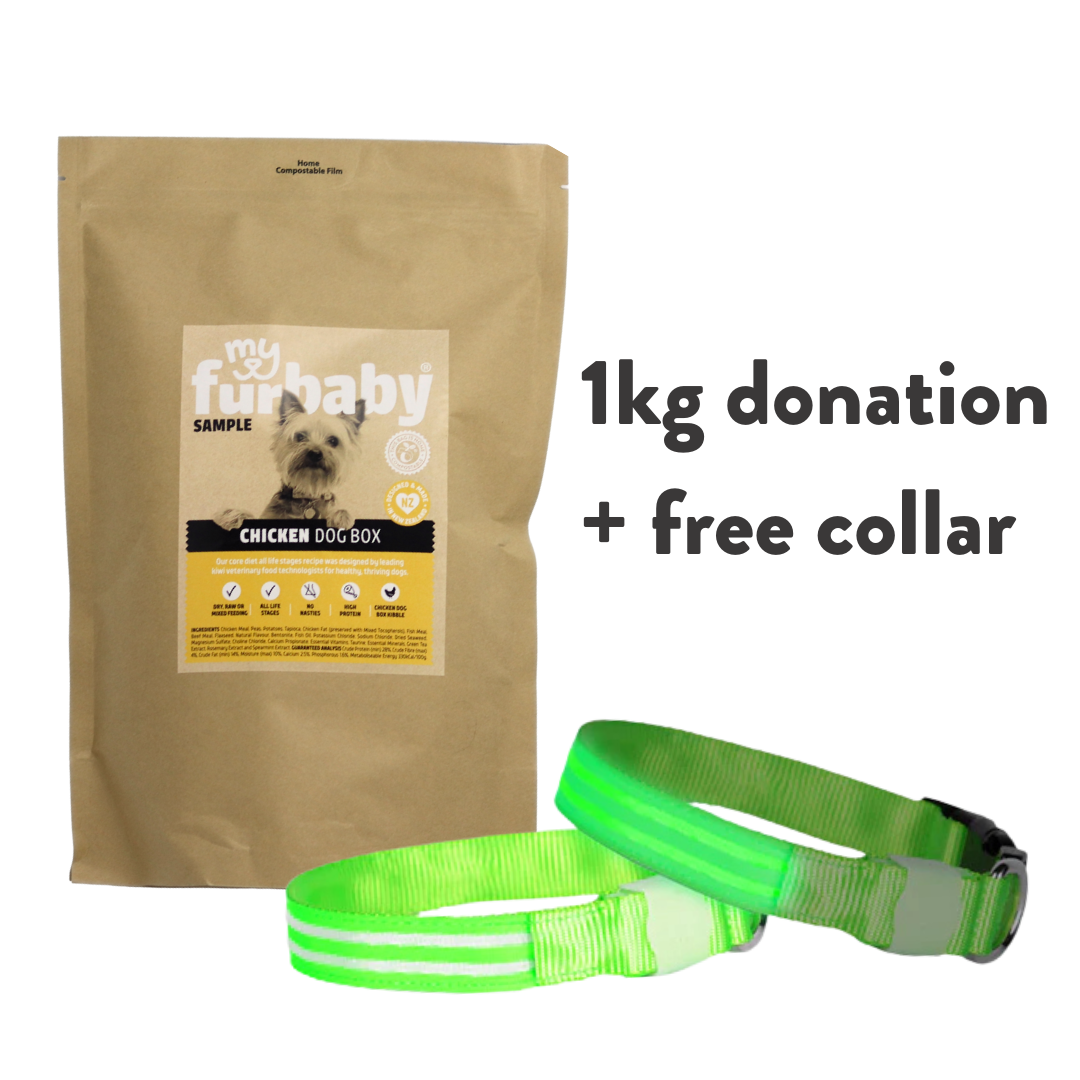 1kg Food Donation + Free LED Collar