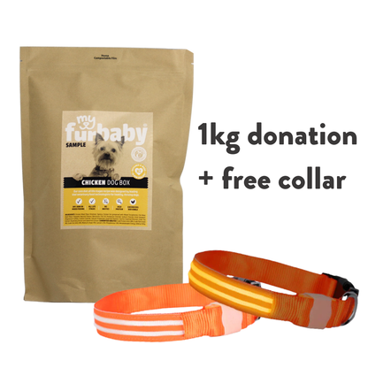 1kg Food Donation + Free LED Collar