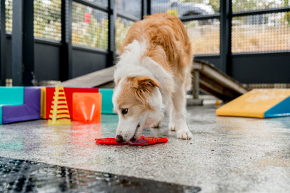 Buzzy Bee Cat/Dog Lick Mat