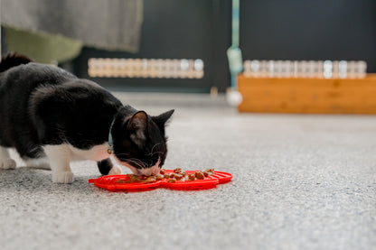 Buzzy Bee Cat/Dog Lick Mat
