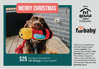 Xmas Kindness Bundle: Xmas Box + Pet Refuge Safe Night