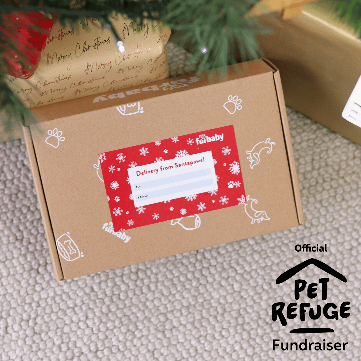 Xmas Kindness Bundle: Xmas Box + Pet Refuge Safe Night