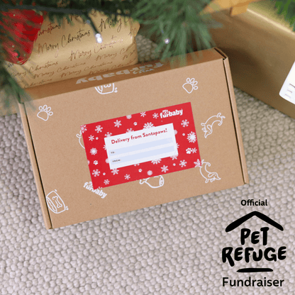 Xmas Kindness Bundle: Xmas Box + Pet Refuge Safe Night