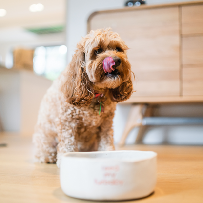 Chicken & Lamb Dog Food Mix Box