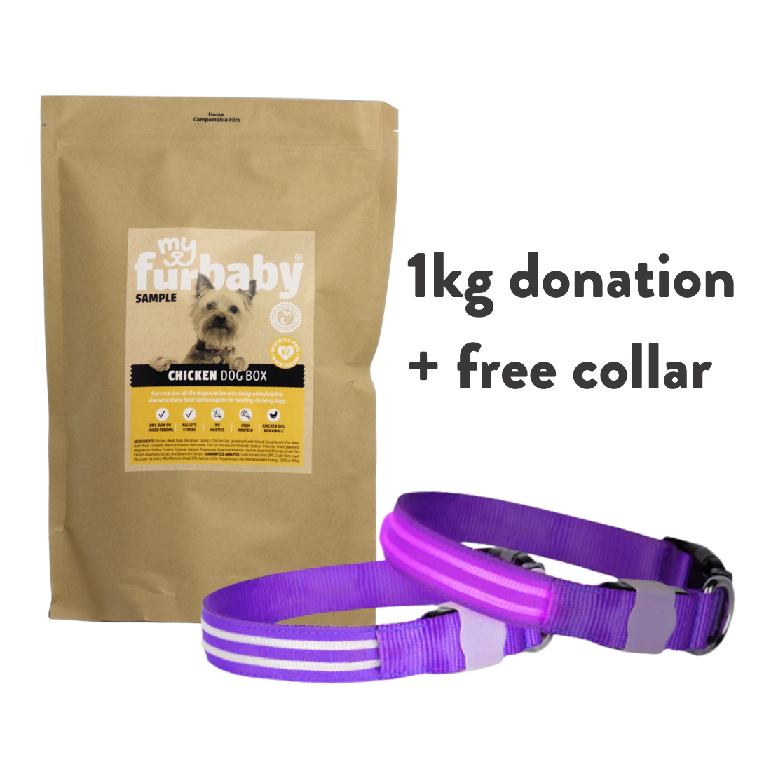 1kg Food Donation + Free LED Collar