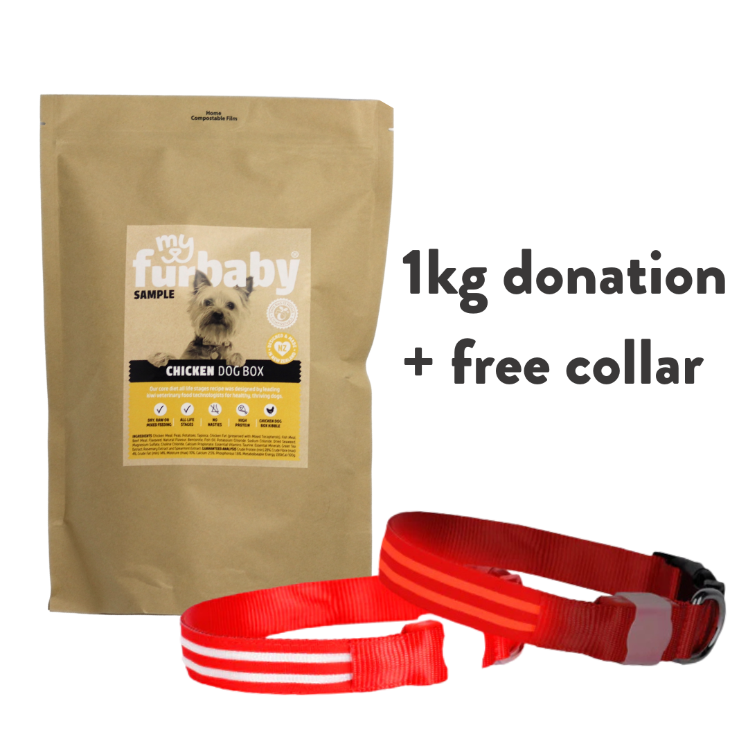 1kg Food Donation + Free LED Collar