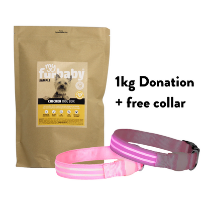1kg Food Donation + Free LED Collar