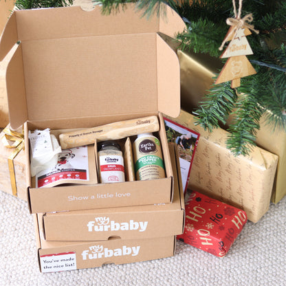 Xmas Kindness Bundle: Xmas Box + Pet Refuge Safe Night