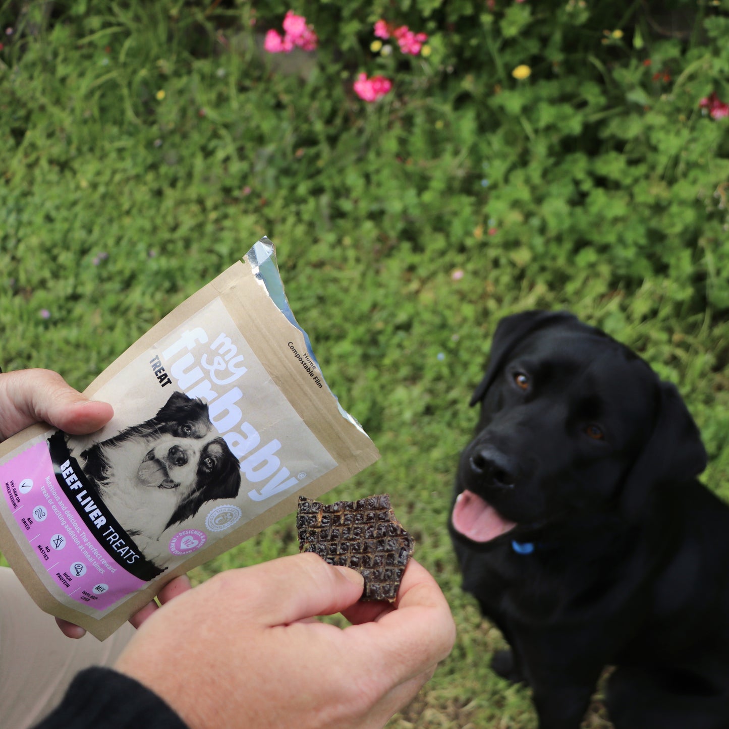 Beef Liver Dog Treats 90g