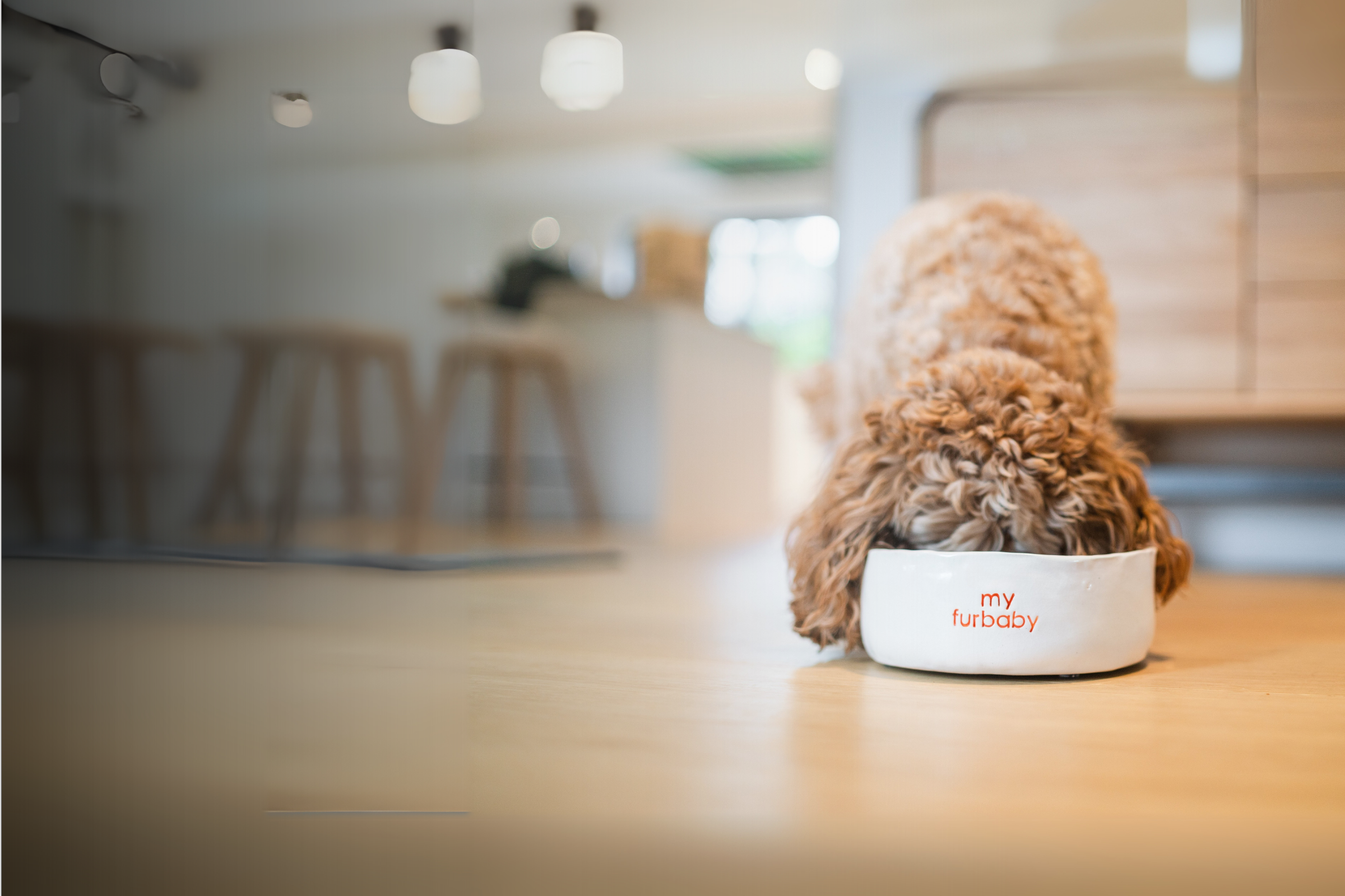 delicious_myfurbaby_dogfood