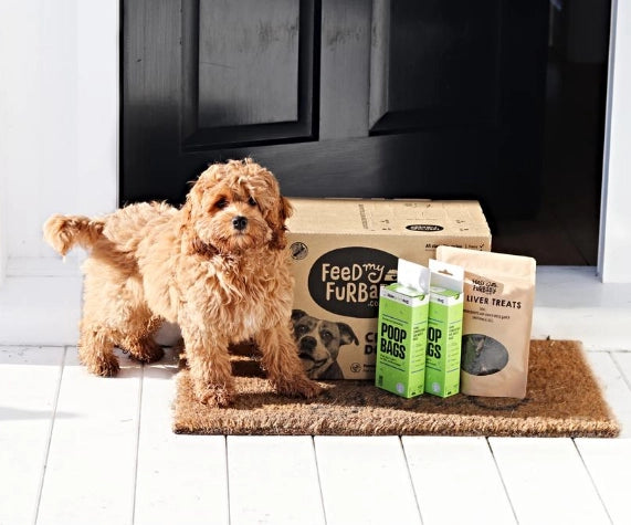 dog with myfurbaby dog food and treats delivery