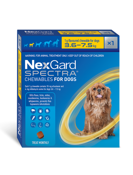 Nexgard Spectra SINGLE